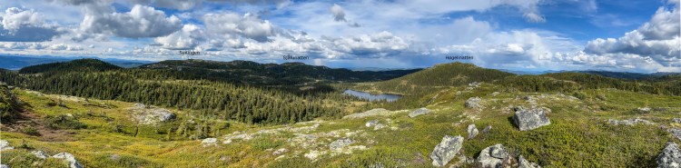 The route ahead of me